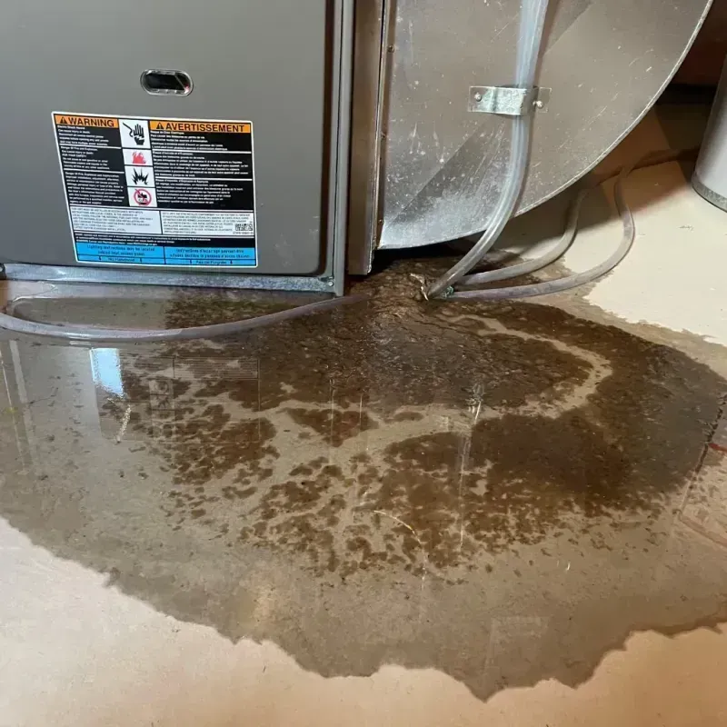 Appliance Leak Cleanup in Yarmouth, ME